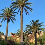 Maison Sur Le Port De Βίλα Πορκερόλ